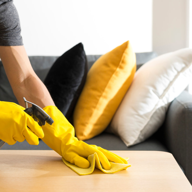 thorough move in and move out cleaning service in san diego